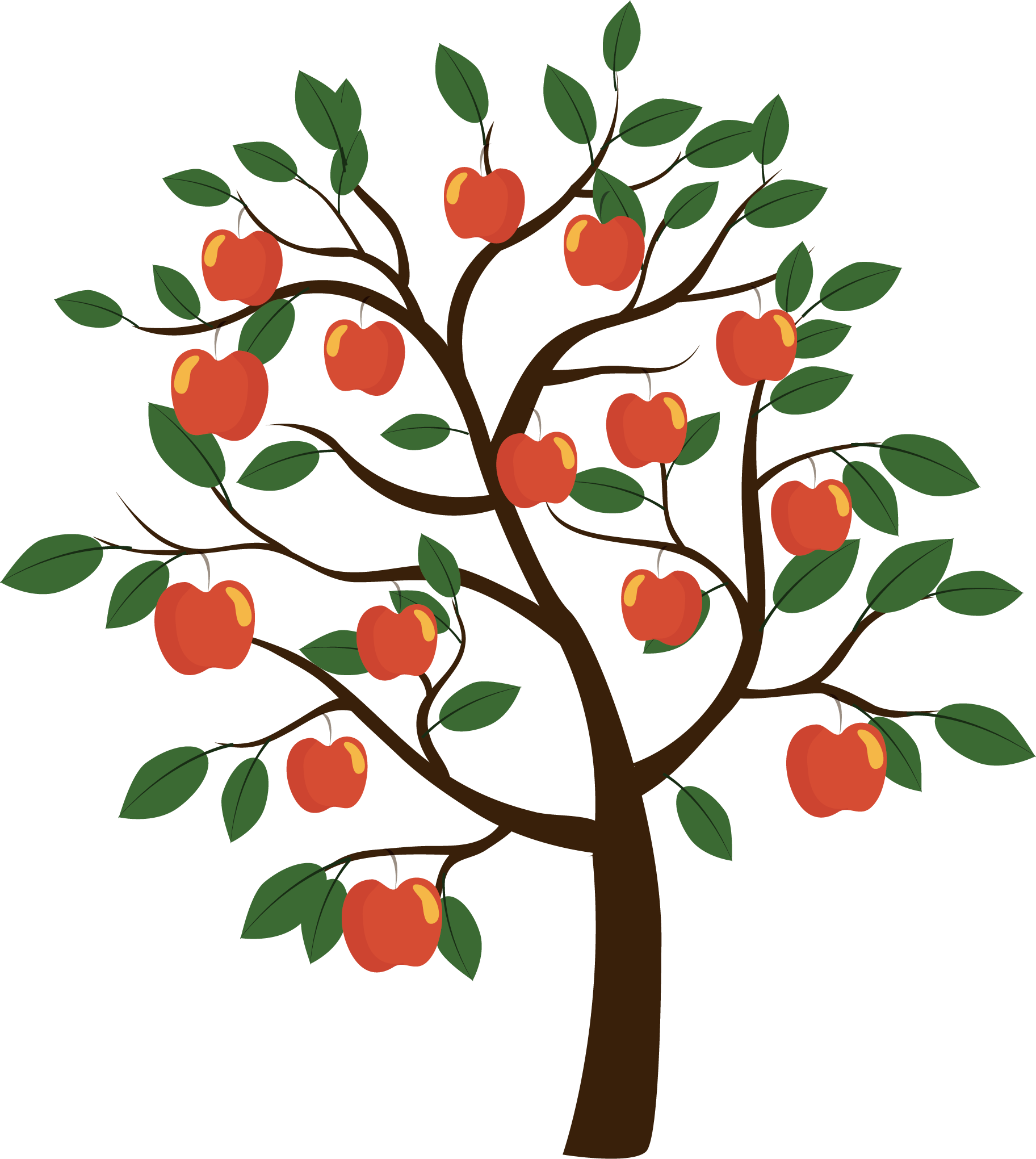 Vector Euclidean Fruit Tree Apple Transparent PNG Image