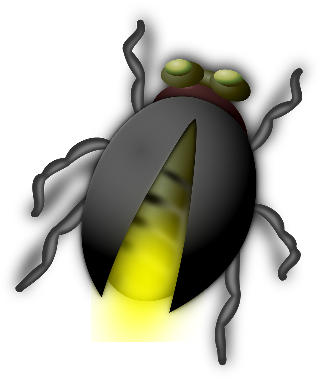 Firefly Content Ladybird Food Beetle Transparent PNG Image