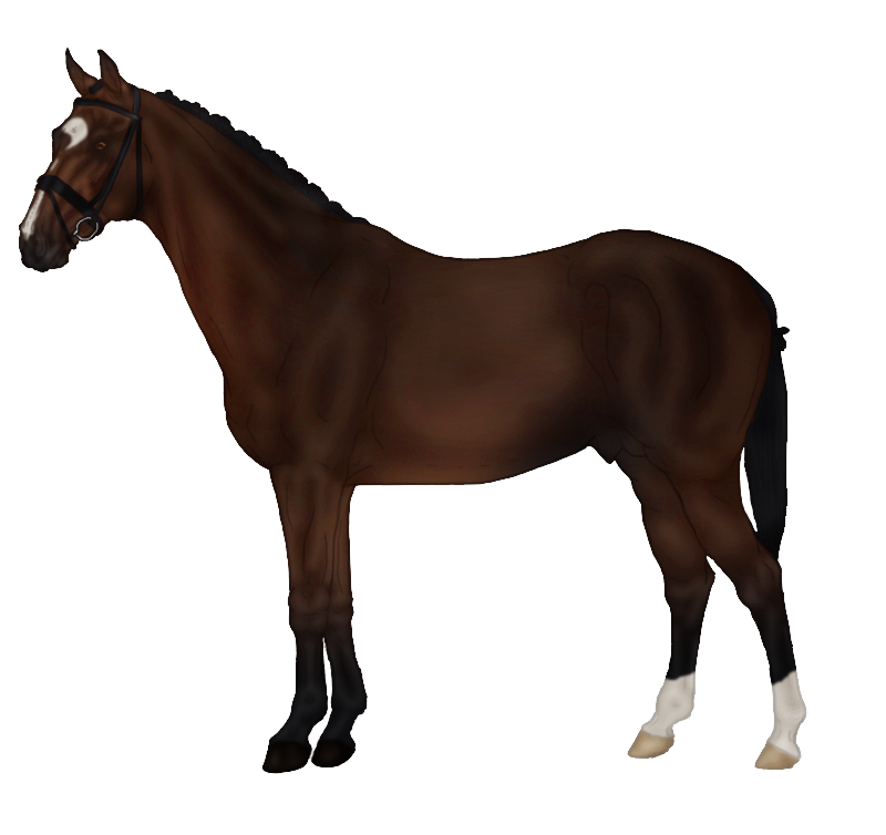 Sims Horse Markings Rein Pets Transparent PNG Image