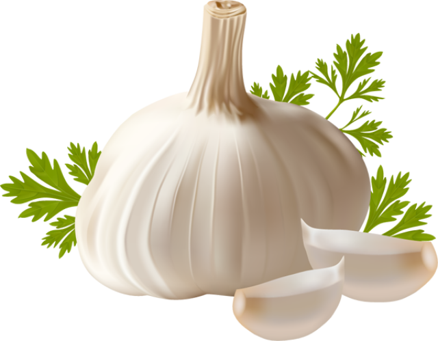 Garlic Transparent PNG Image