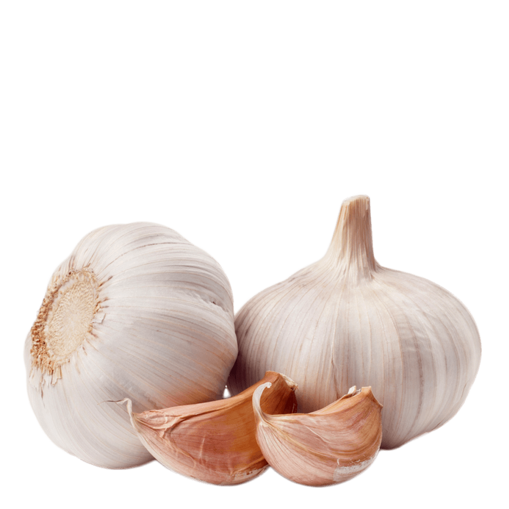 Garlic Transparent PNG Image