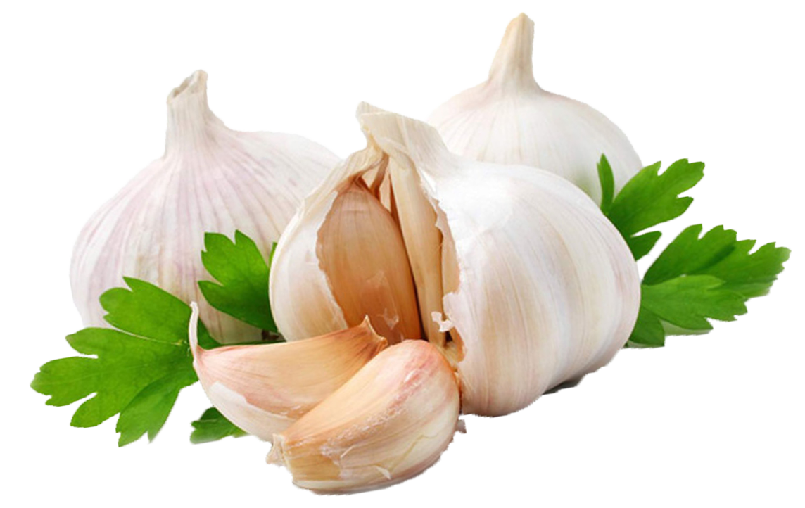 Garlic Transparent PNG Image
