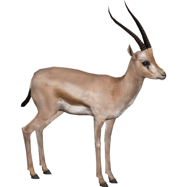 Gazelle Transparent PNG Image