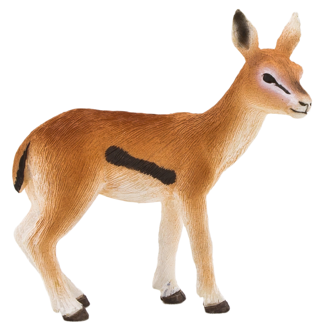 Gazelle Background Transparent PNG Image