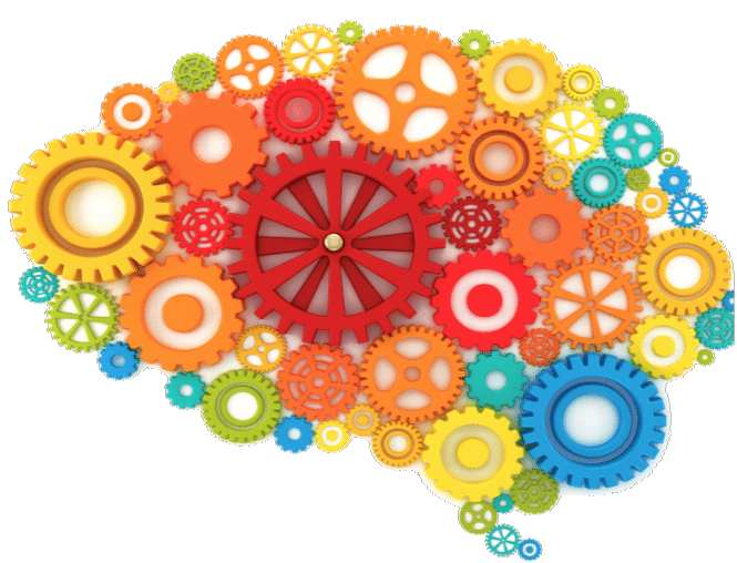 Brain Vector Colored Gears Transparent PNG Image