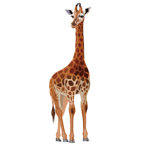 Giraffe African Transparent PNG Image