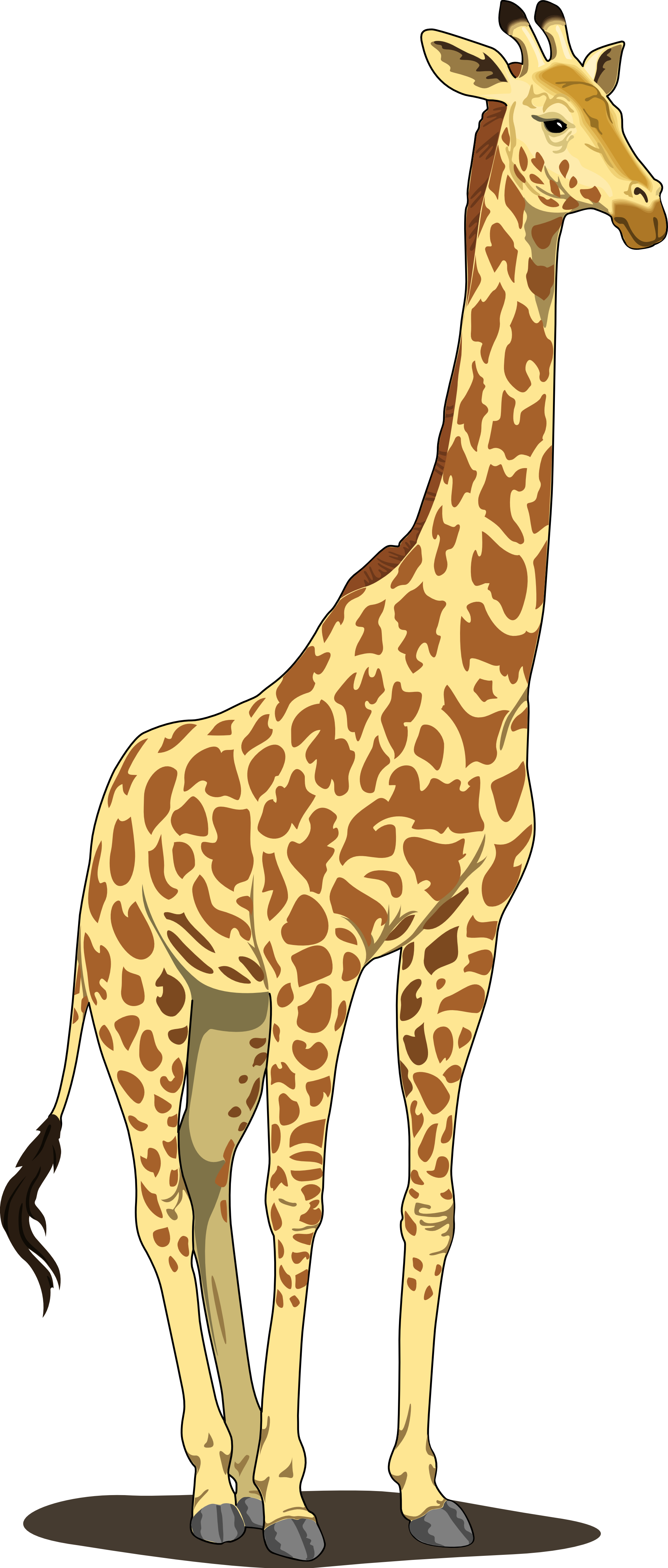 Giraffe Vector Transparent PNG Image