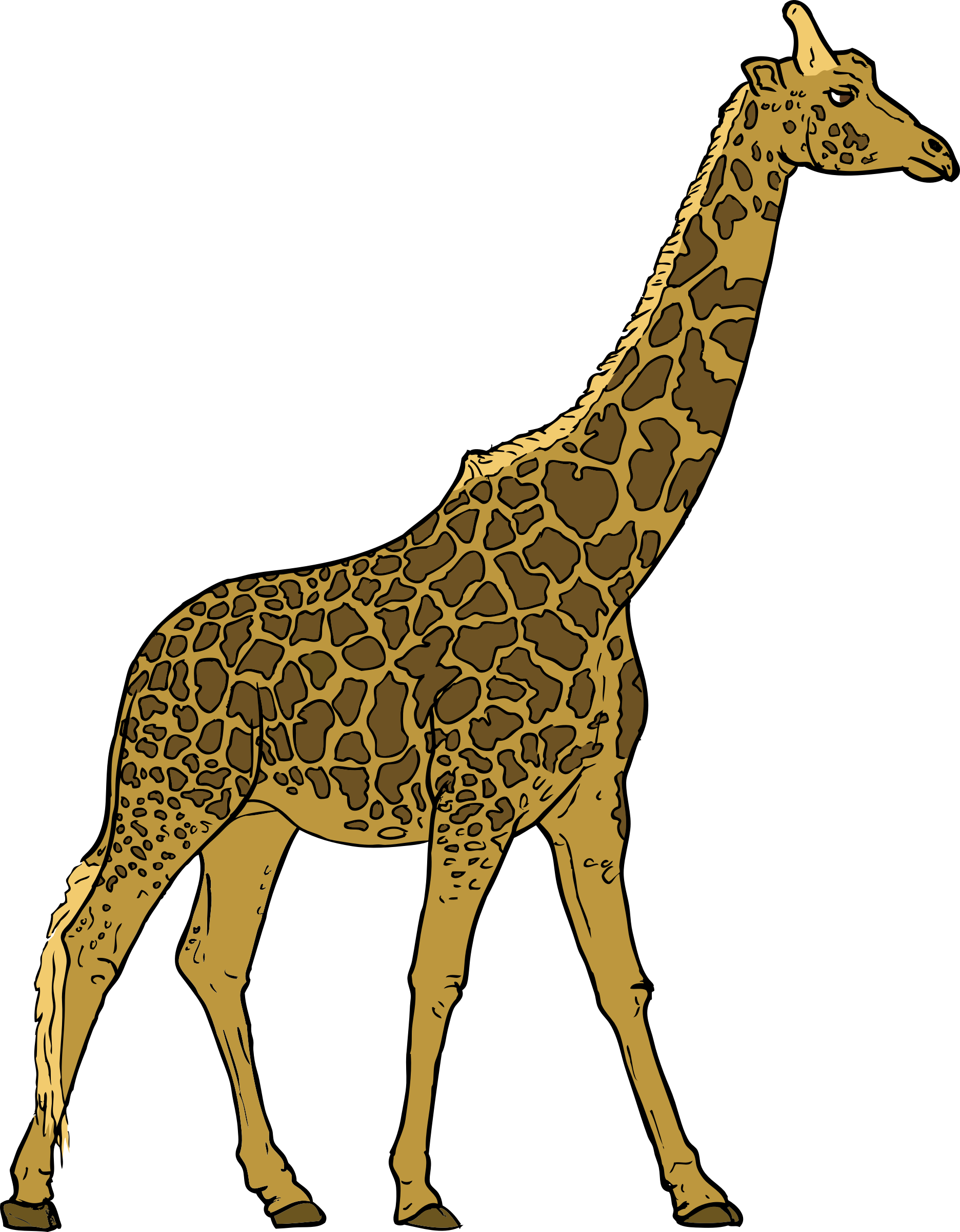 Small Giraffe Vector Transparent PNG Image