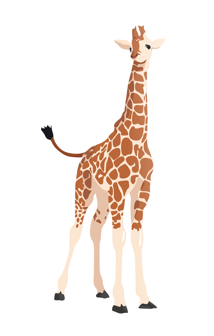 Small Giraffe Vector Transparent PNG Image