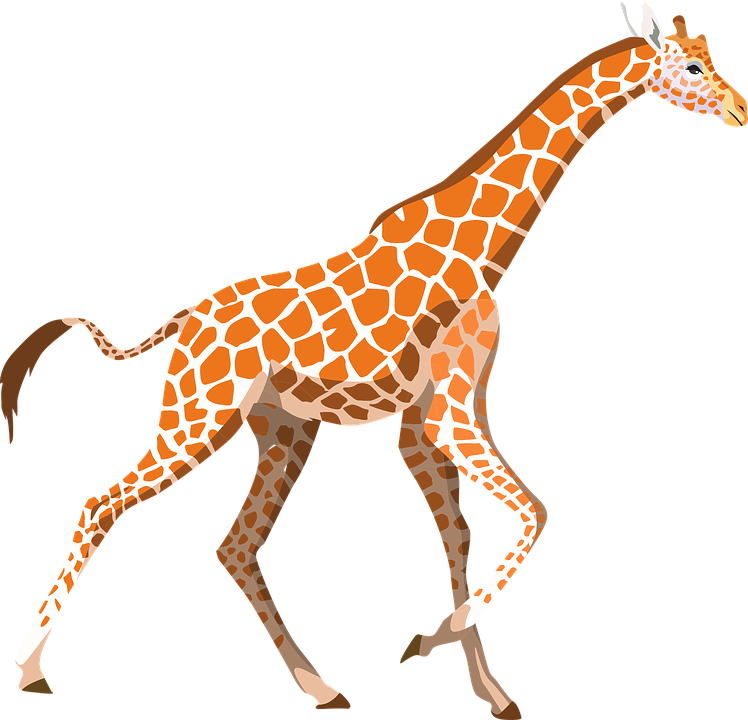 Giraffe Vector Transparent PNG Image