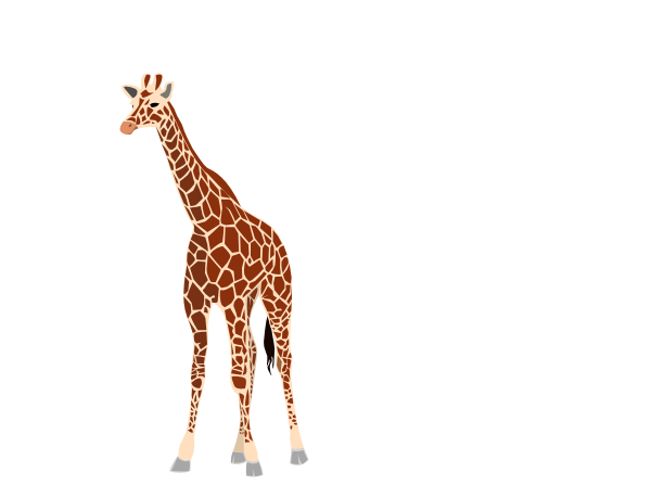 Giraffe Vector Transparent PNG Image