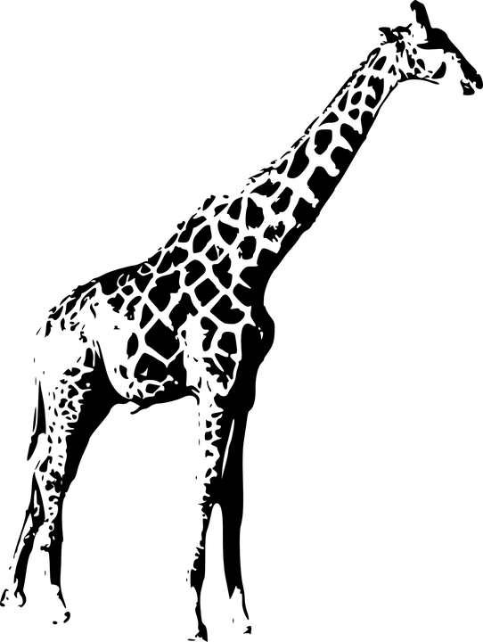 Giraffe Vector Silhouette Transparent PNG Image