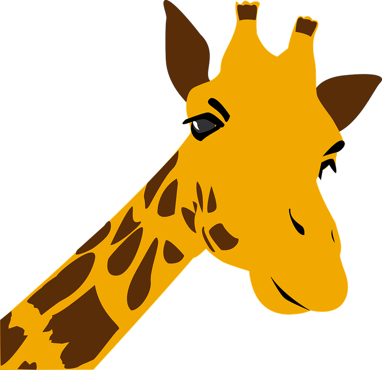 Giraffe Vector Transparent PNG Image
