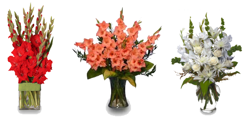 Gladiolus Transparent PNG Image