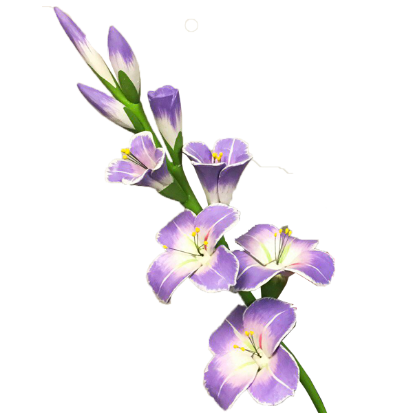 Gladiolus Transparent PNG Image