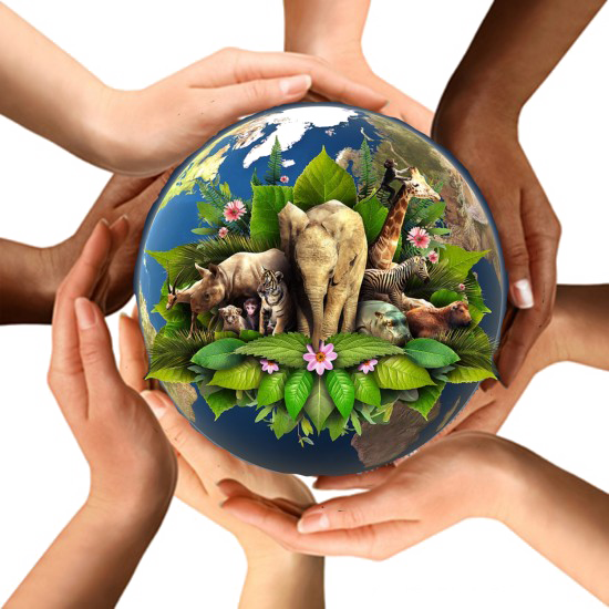 Earth In Hands Transparent PNG Image