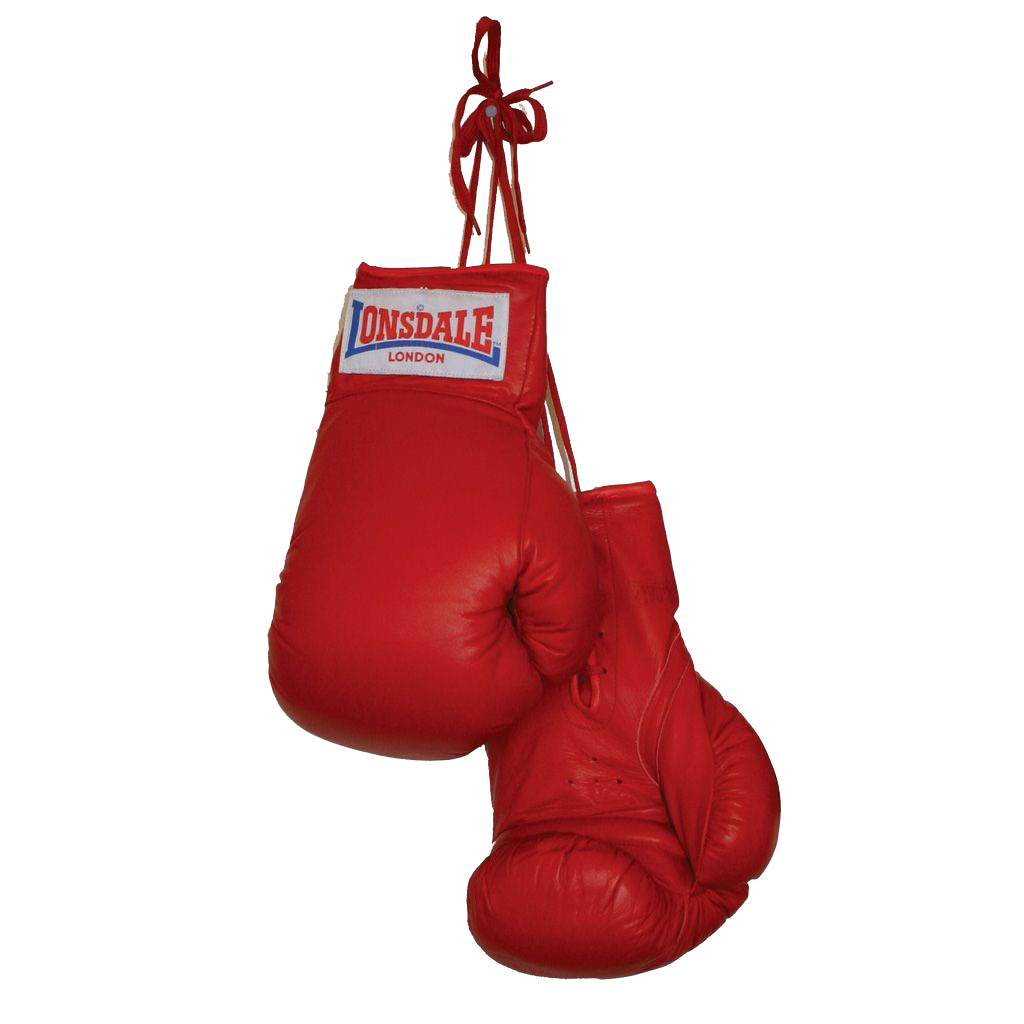 Boxing Gloves Transparent PNG Image