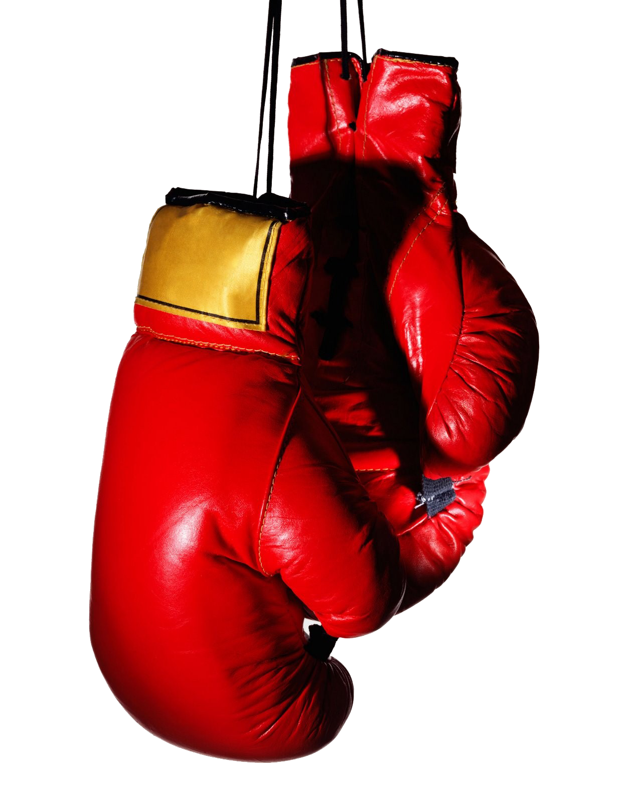 Boxing Gloves Transparent PNG Image