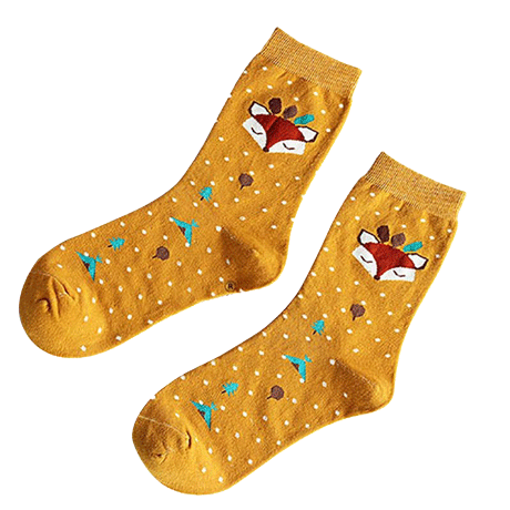 Socks Transparent PNG Image