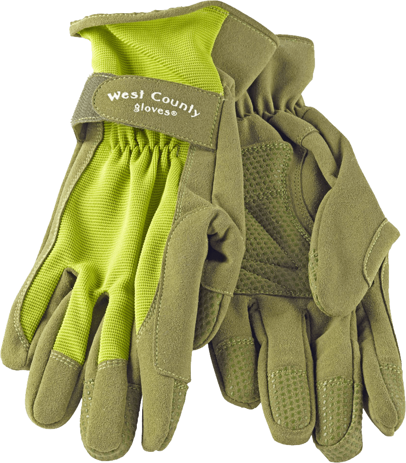 Gloves Transparent PNG Image