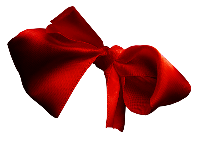 Blog Roses Garden Red Bow Frame Transparent PNG Image