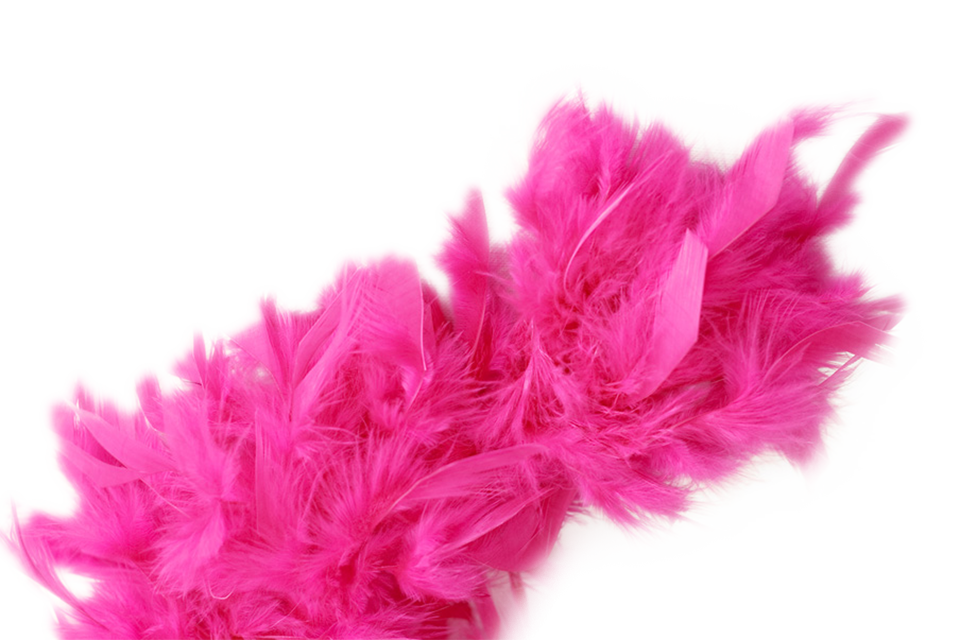 Boa Feather Header Frame Transparent PNG Image