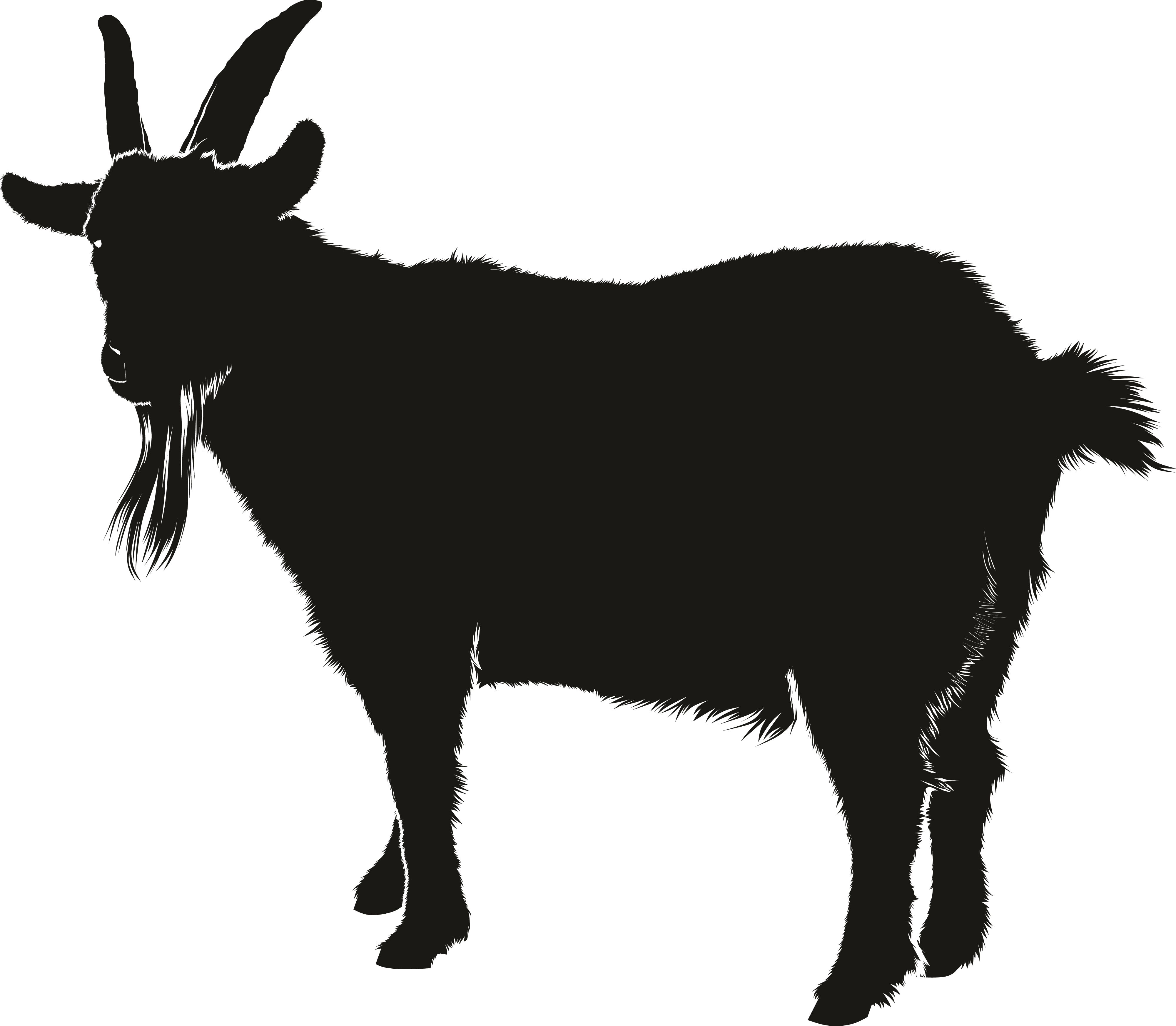 Goat Transparent PNG Image
