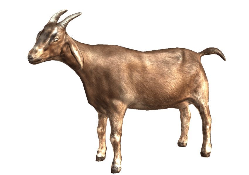 Goat Transparent PNG Image
