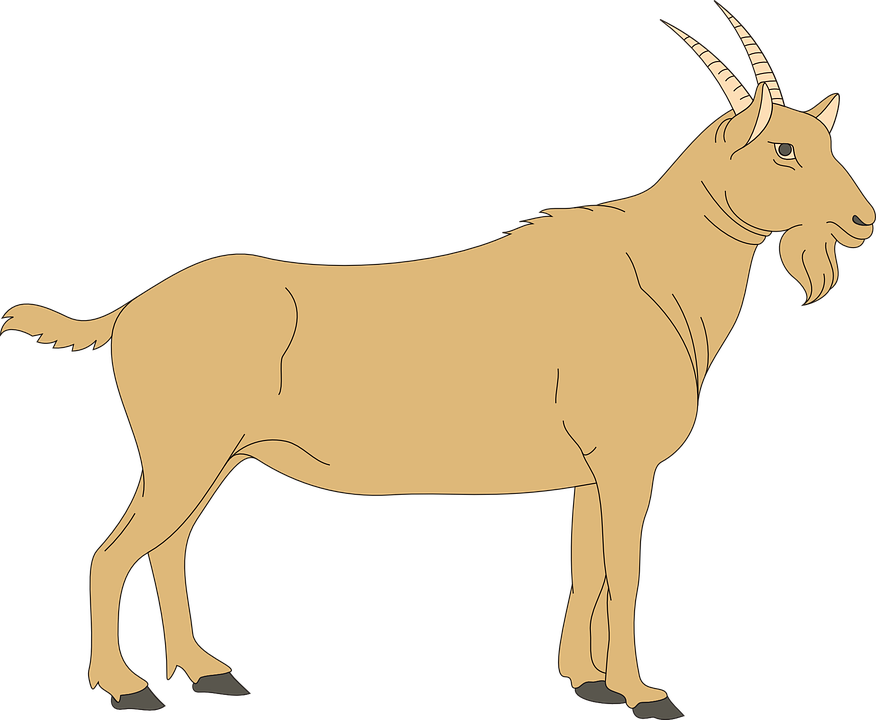 Vector Goat Transparent PNG Image