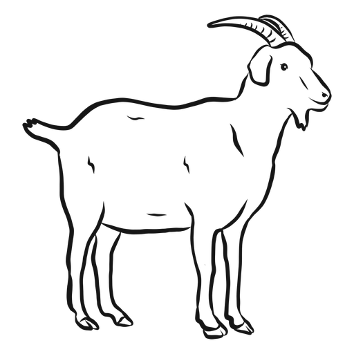Vector Drawing Goat Transparent PNG Image