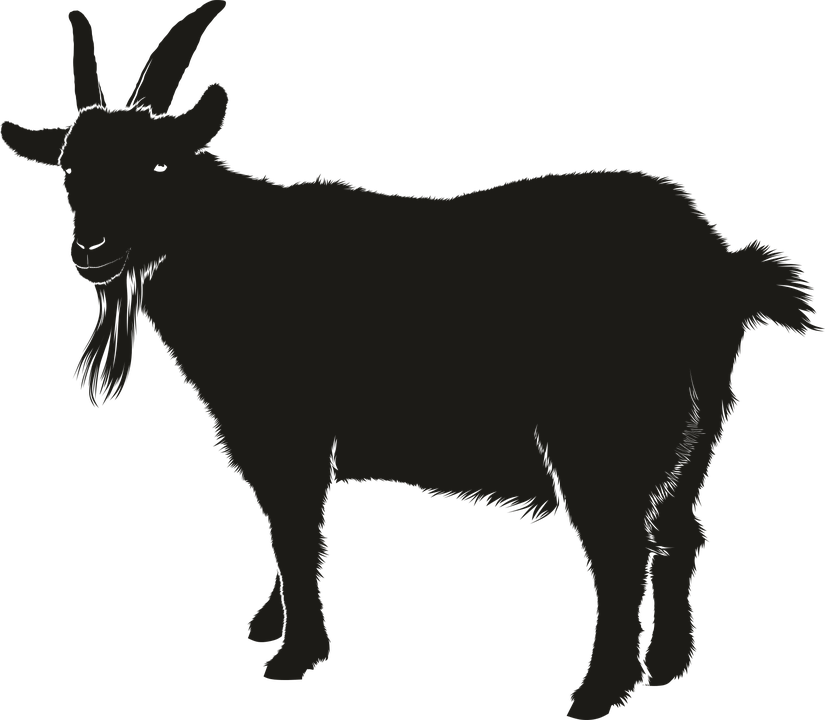 Vector Black Goat Transparent PNG Image
