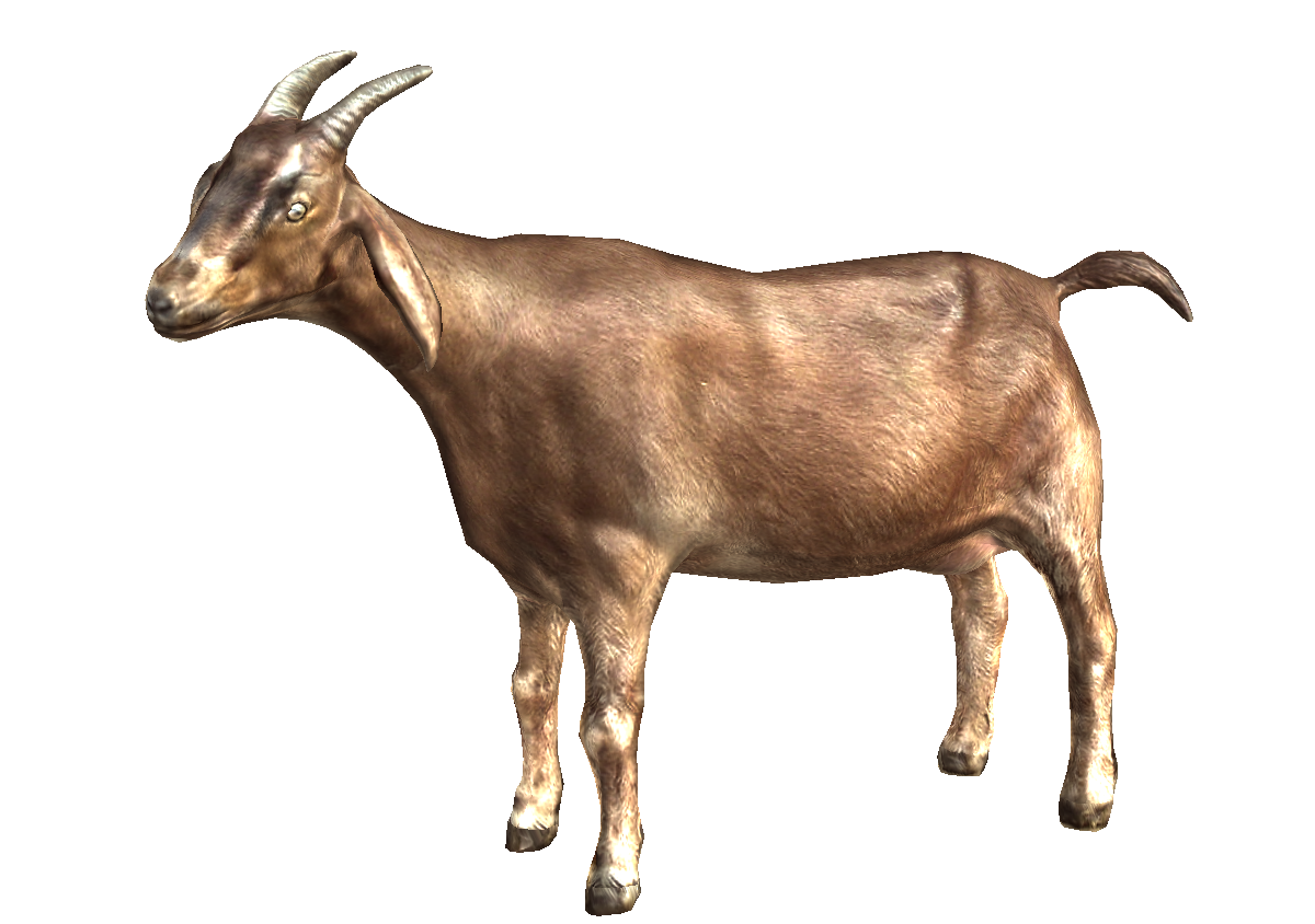 Goat Transparent PNG Image