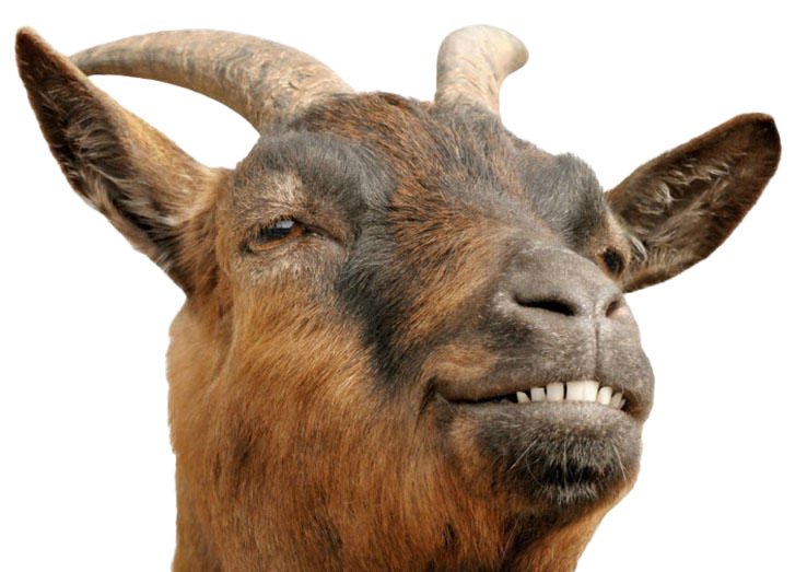 Goat Transparent PNG Image