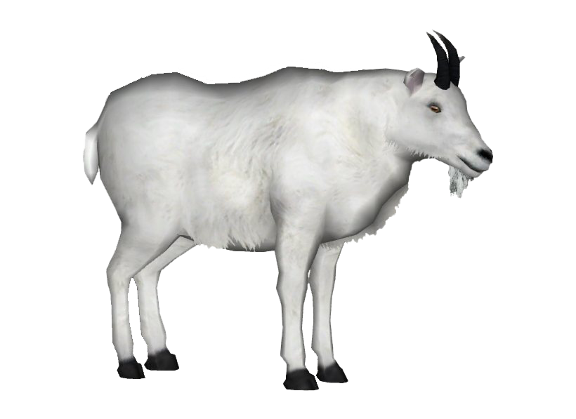 White Goat Transparent PNG Image