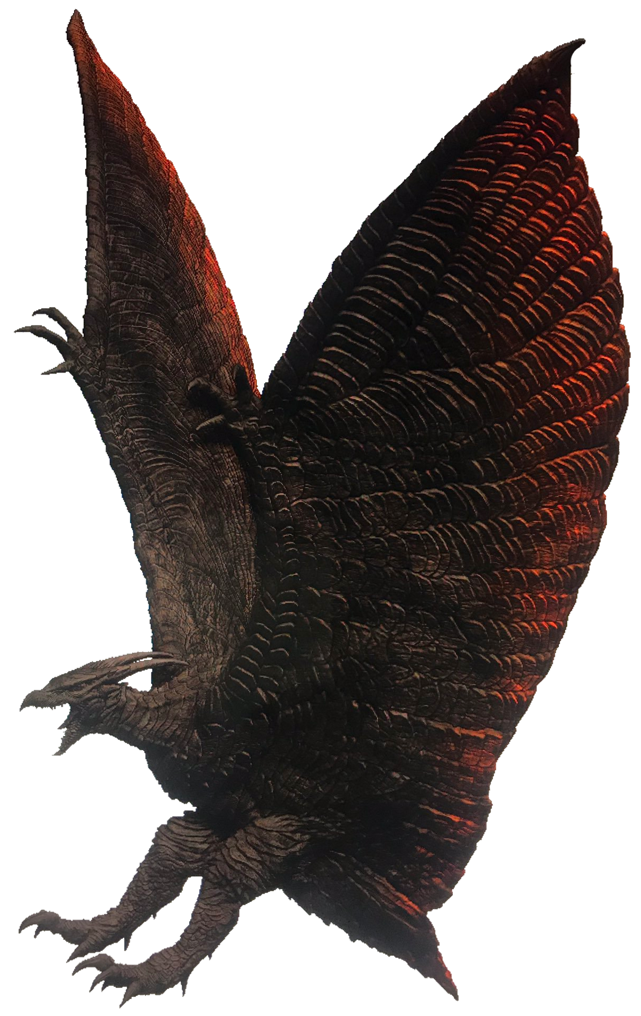 Flying Rodan Transparent PNG Image