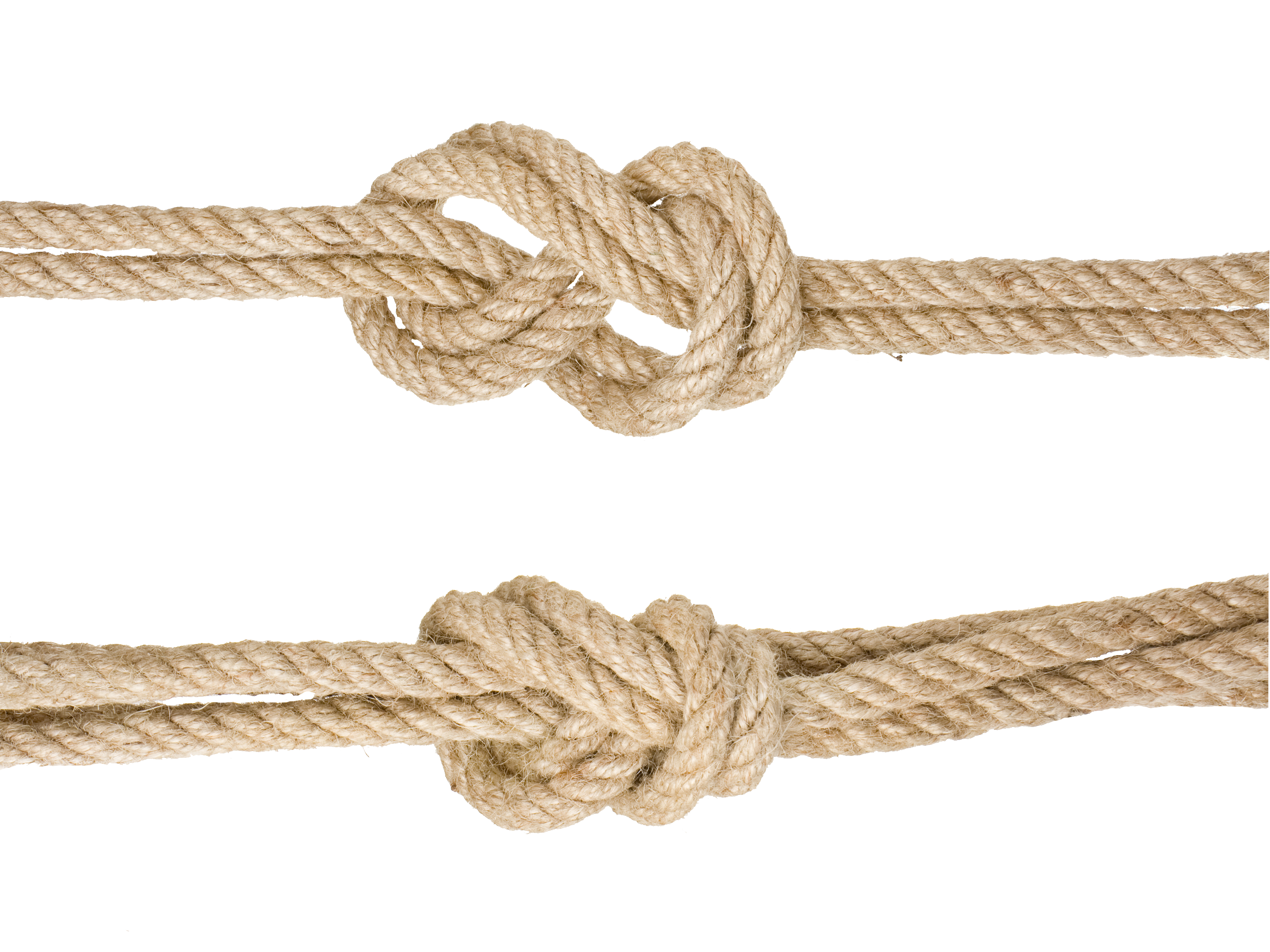 Google Knotted Rope Knot Hemp Transparent PNG Image