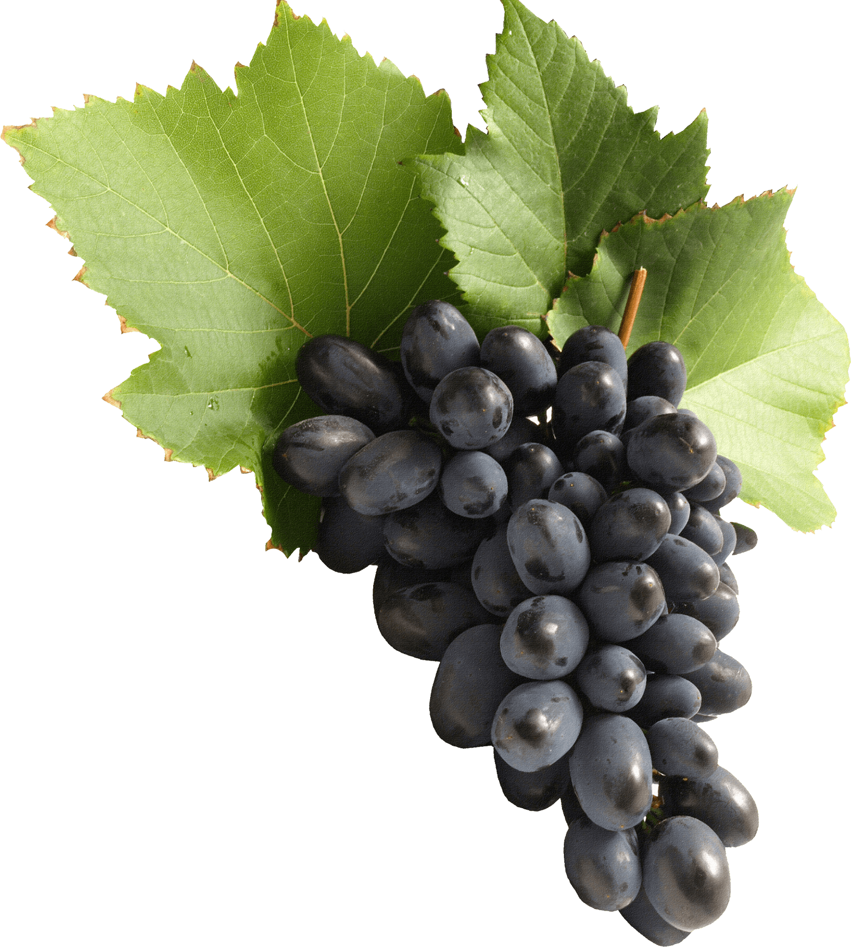 Grape Transparent PNG Image