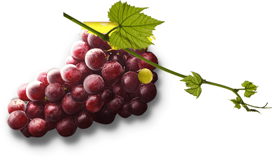 Grape Transparent PNG Image
