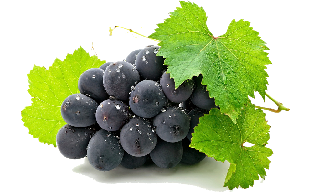 Grape Transparent PNG Image