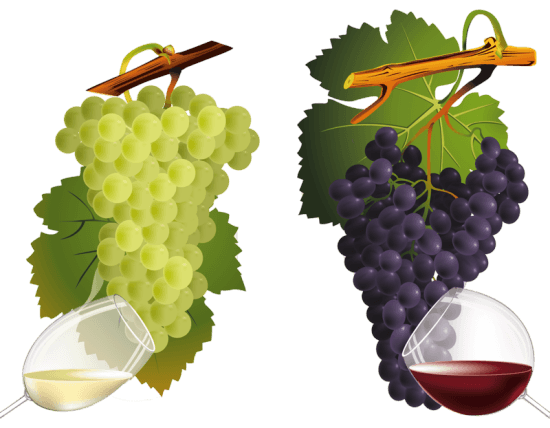 Grape Transparent PNG Image