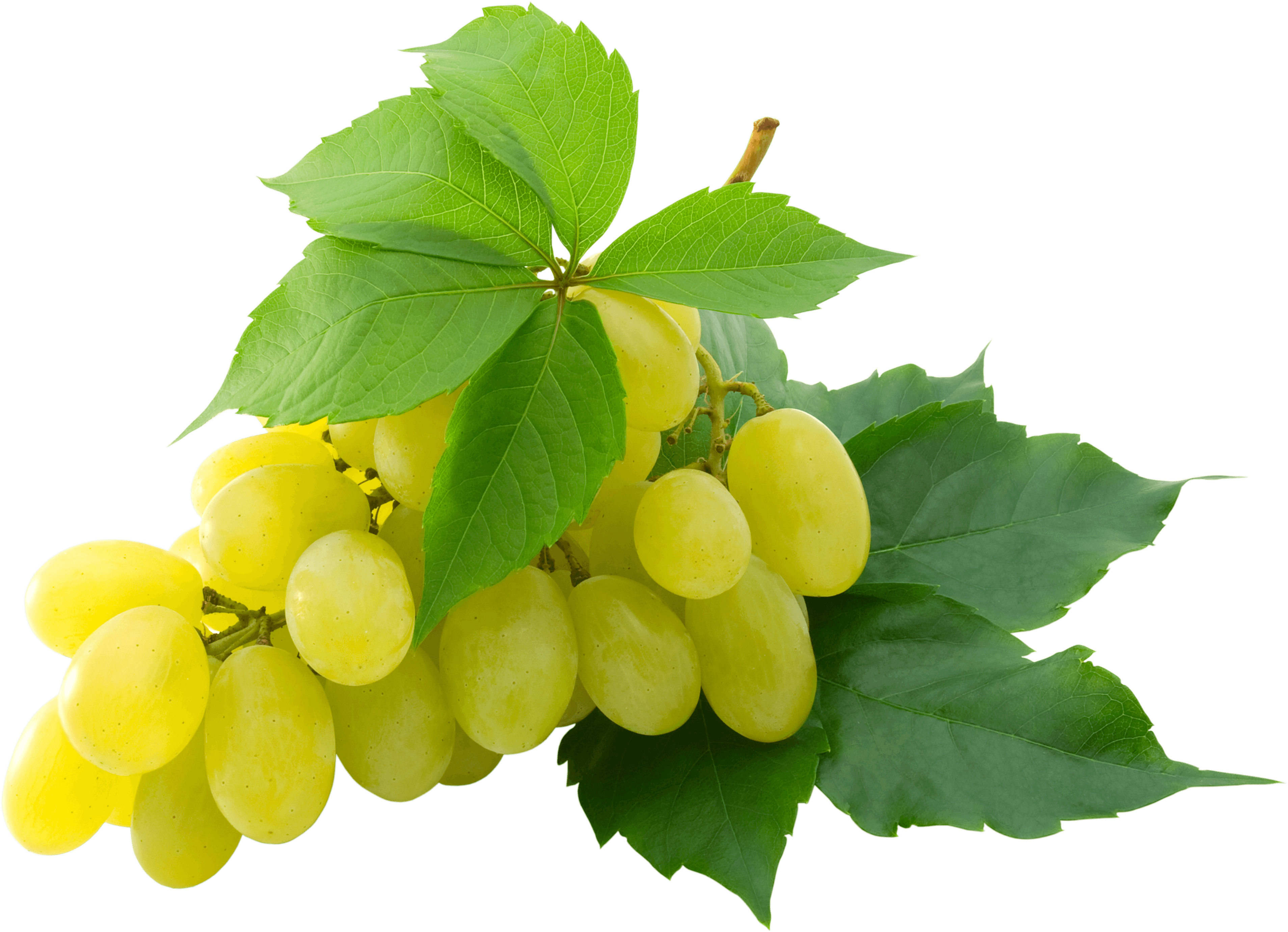 Grape Transparent PNG Image