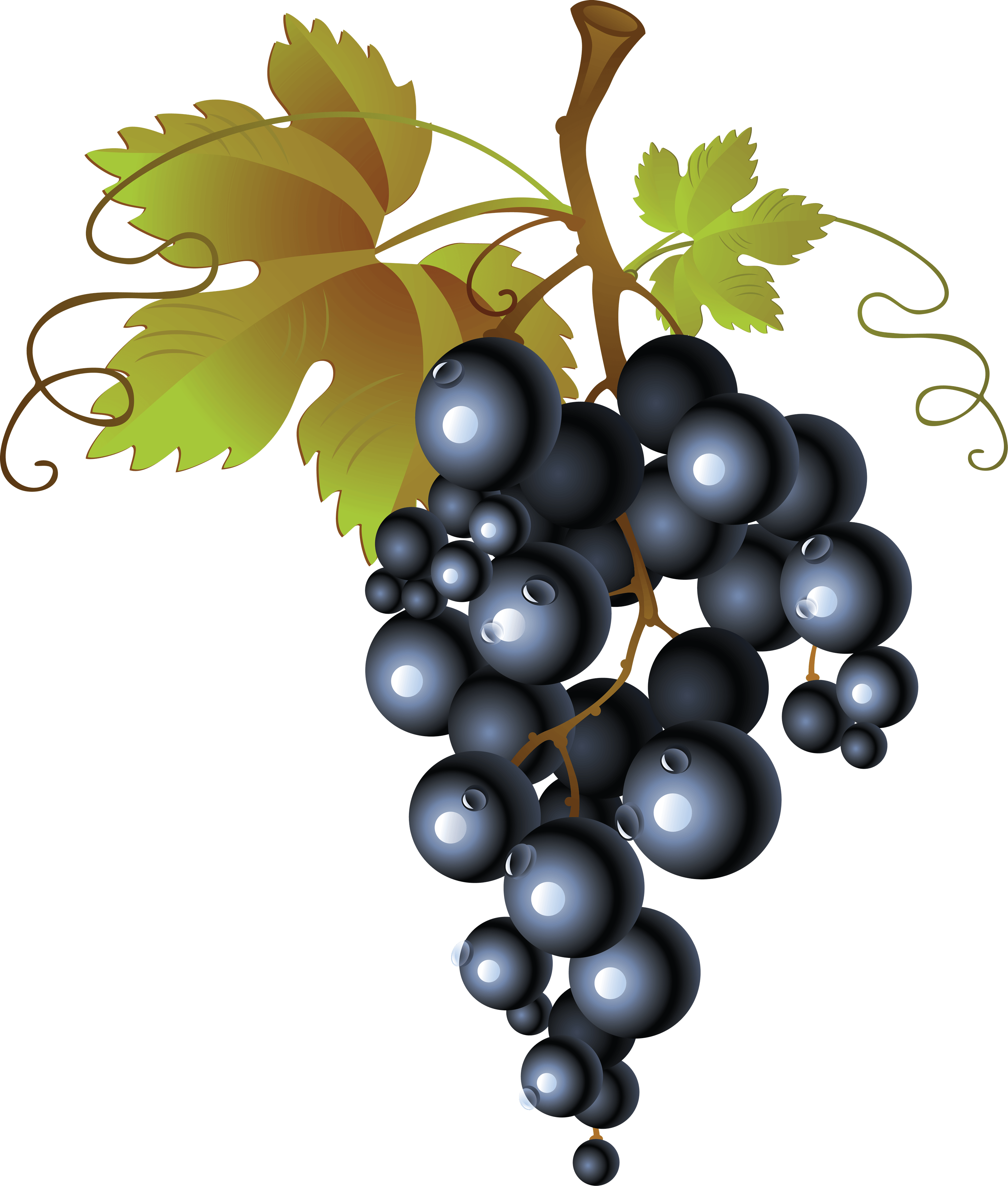 Grape Transparent PNG Image