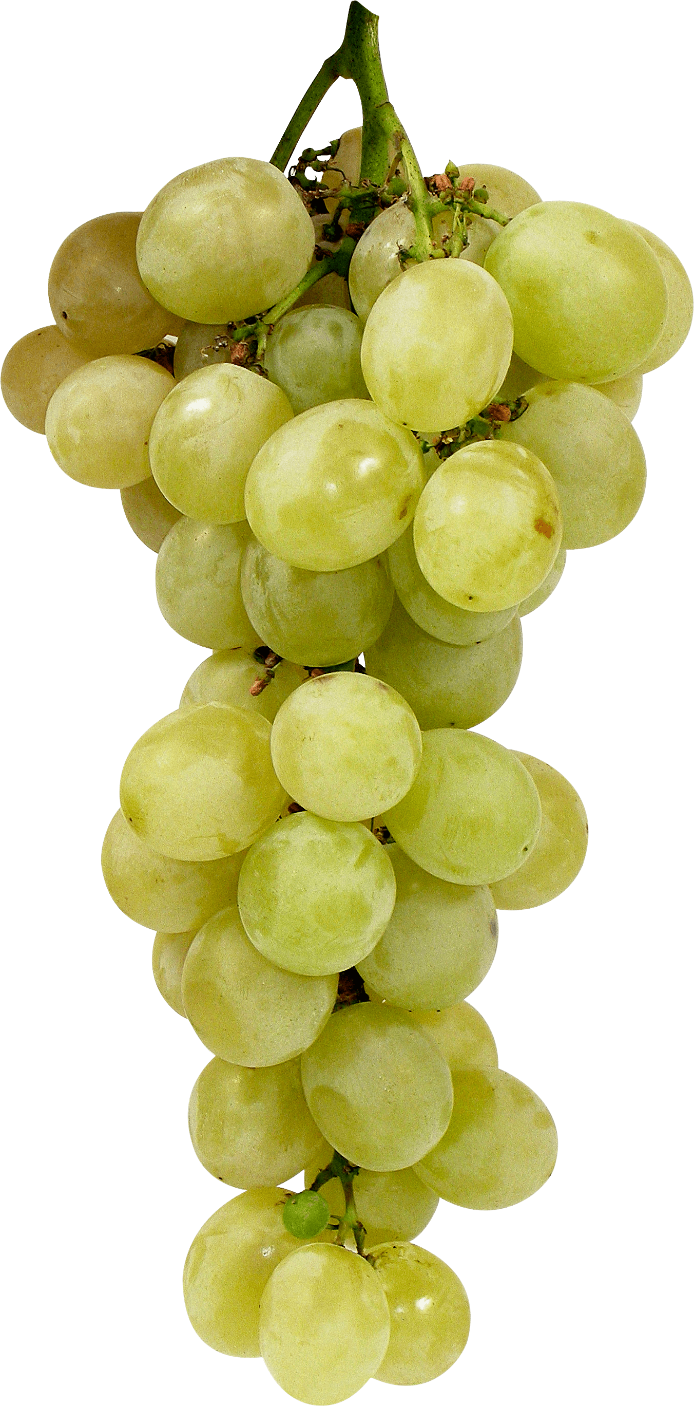 Green Grape Transparent PNG Image