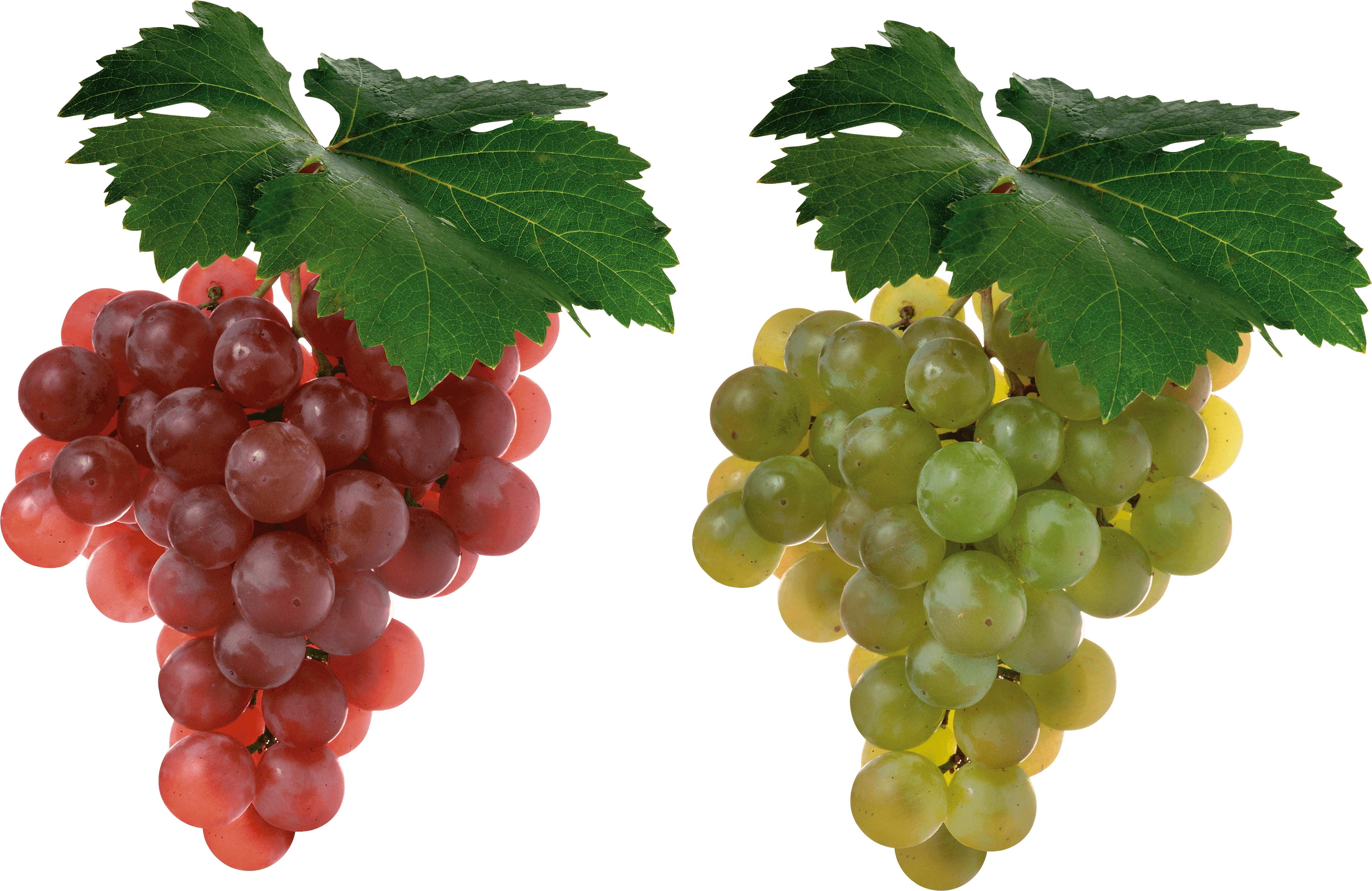 Grape Transparent PNG Image