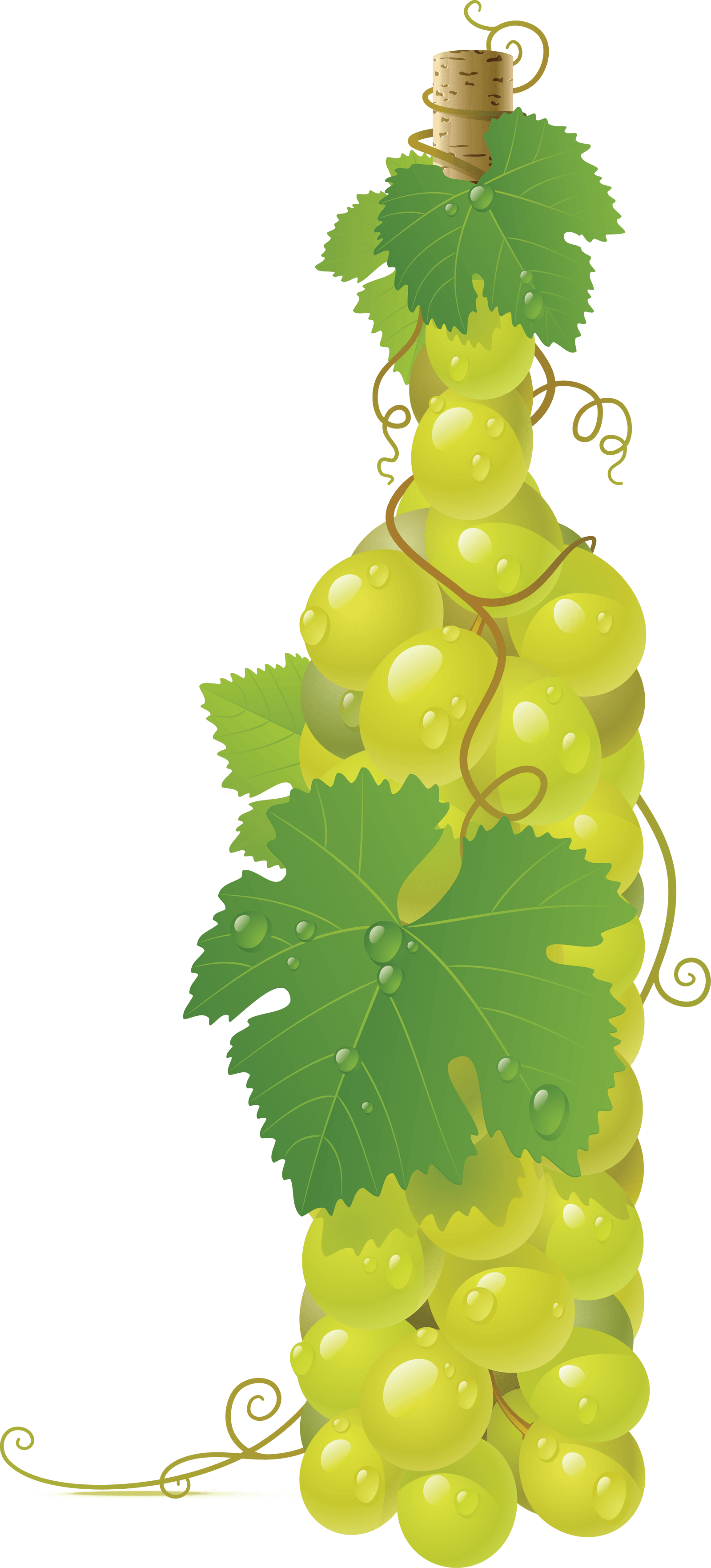 Green Grape Transparent PNG Image