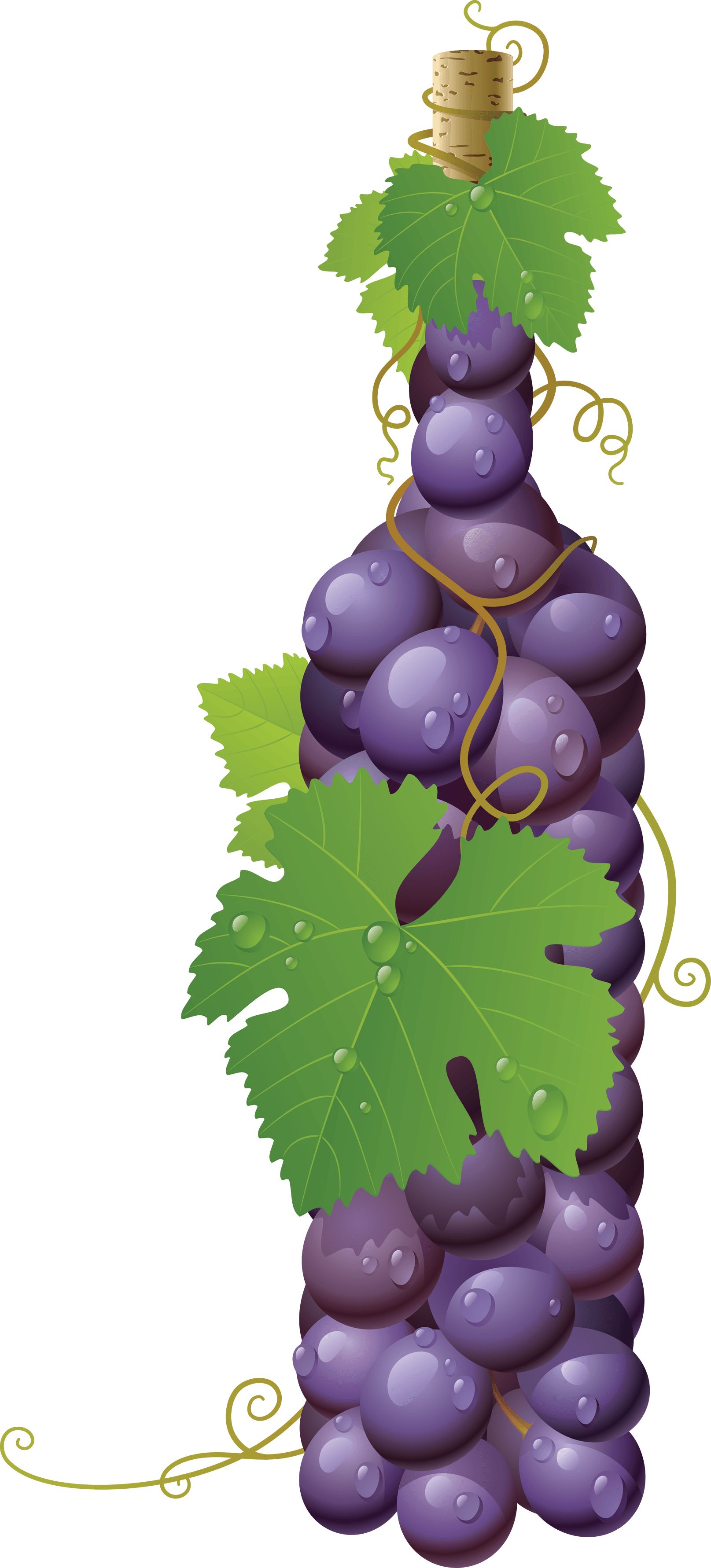 Grape Transparent PNG Image
