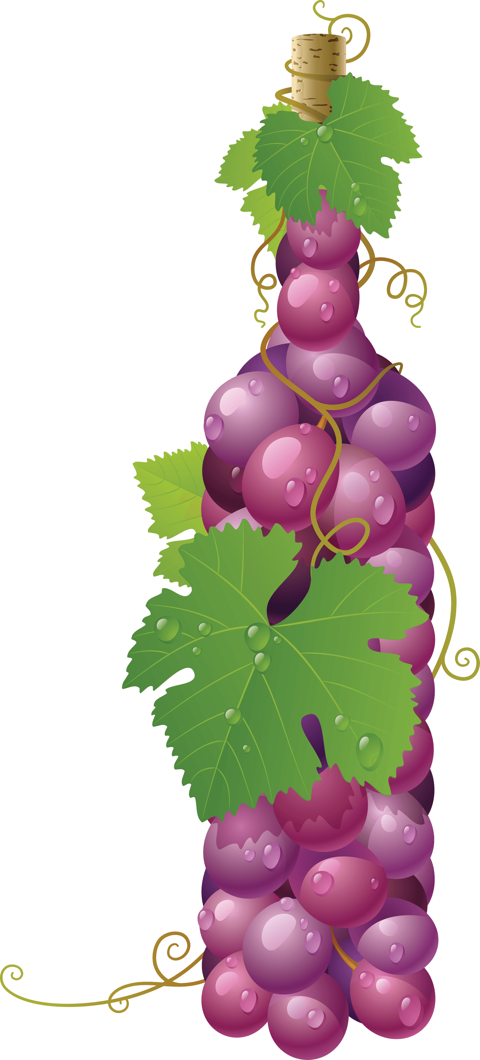 Red Grape Transparent PNG Image