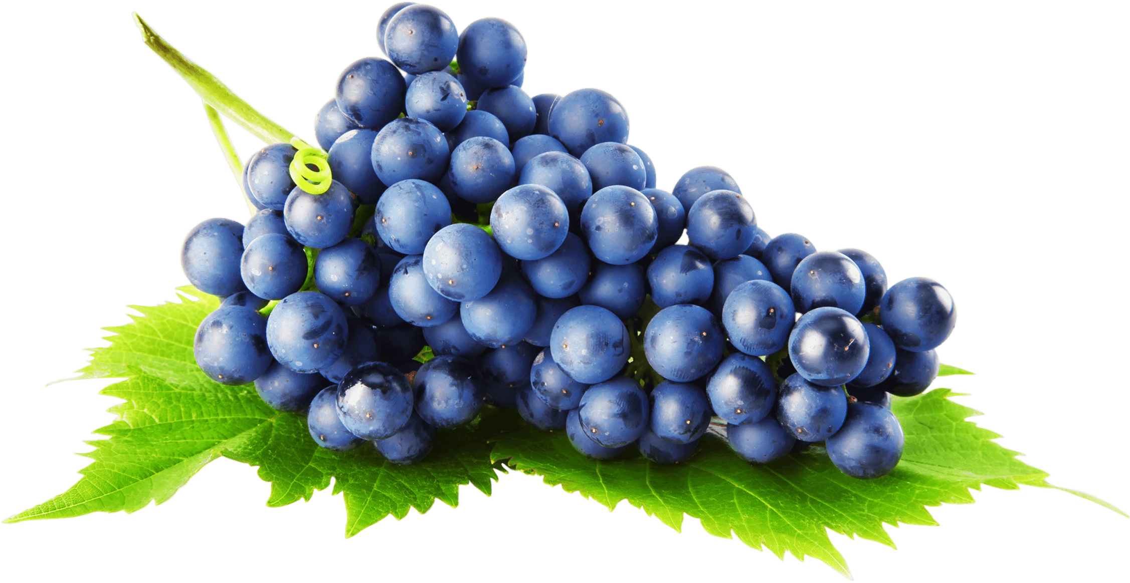 Grape Transparent PNG Image