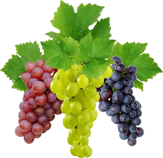 Grape Transparent PNG Image