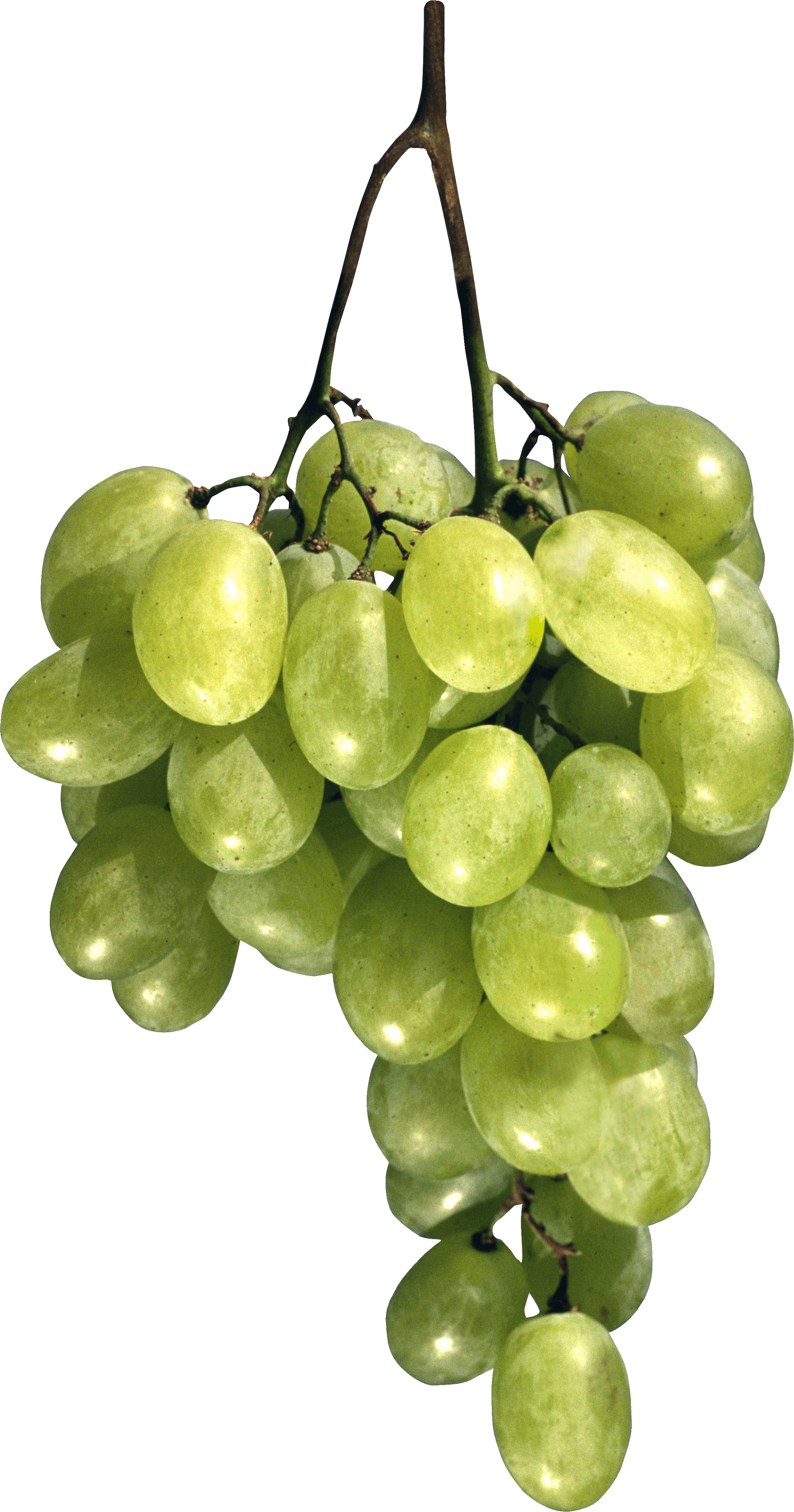 Green Grape Transparent PNG Image